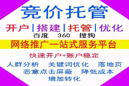 实战技巧：竞价推广案例解析与优化策略